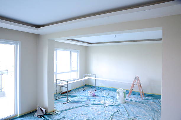 Best Drywall Removal and Disposal  in Campton Hls, IL